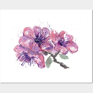 Light Pink Hibiscus Posters and Art